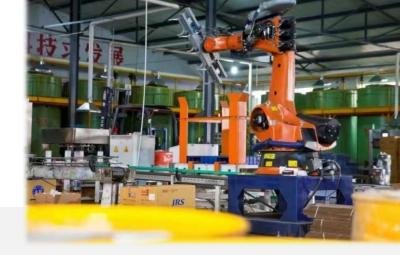 Robotic Palletizing System